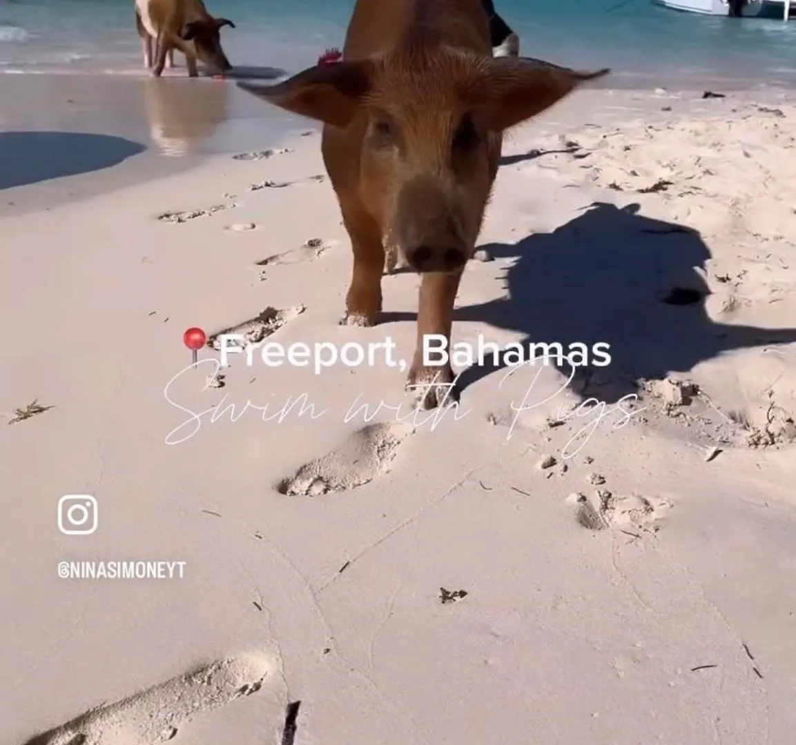 Balihamas Villa فريبورت 0*,